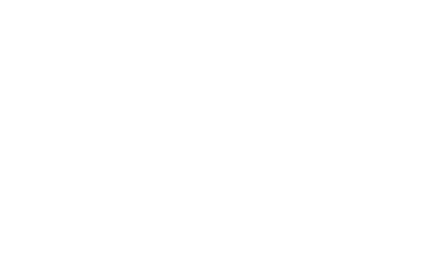 birdie lab@3x
